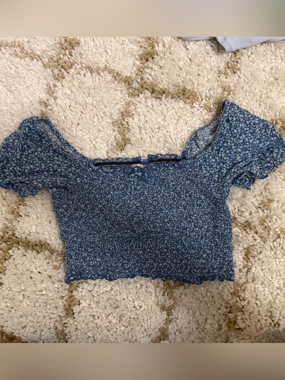 Aerie Blue Floral Ruffle-sleeve Crop Top